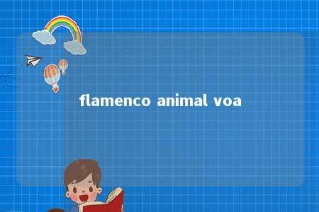 flamenco animal voa 